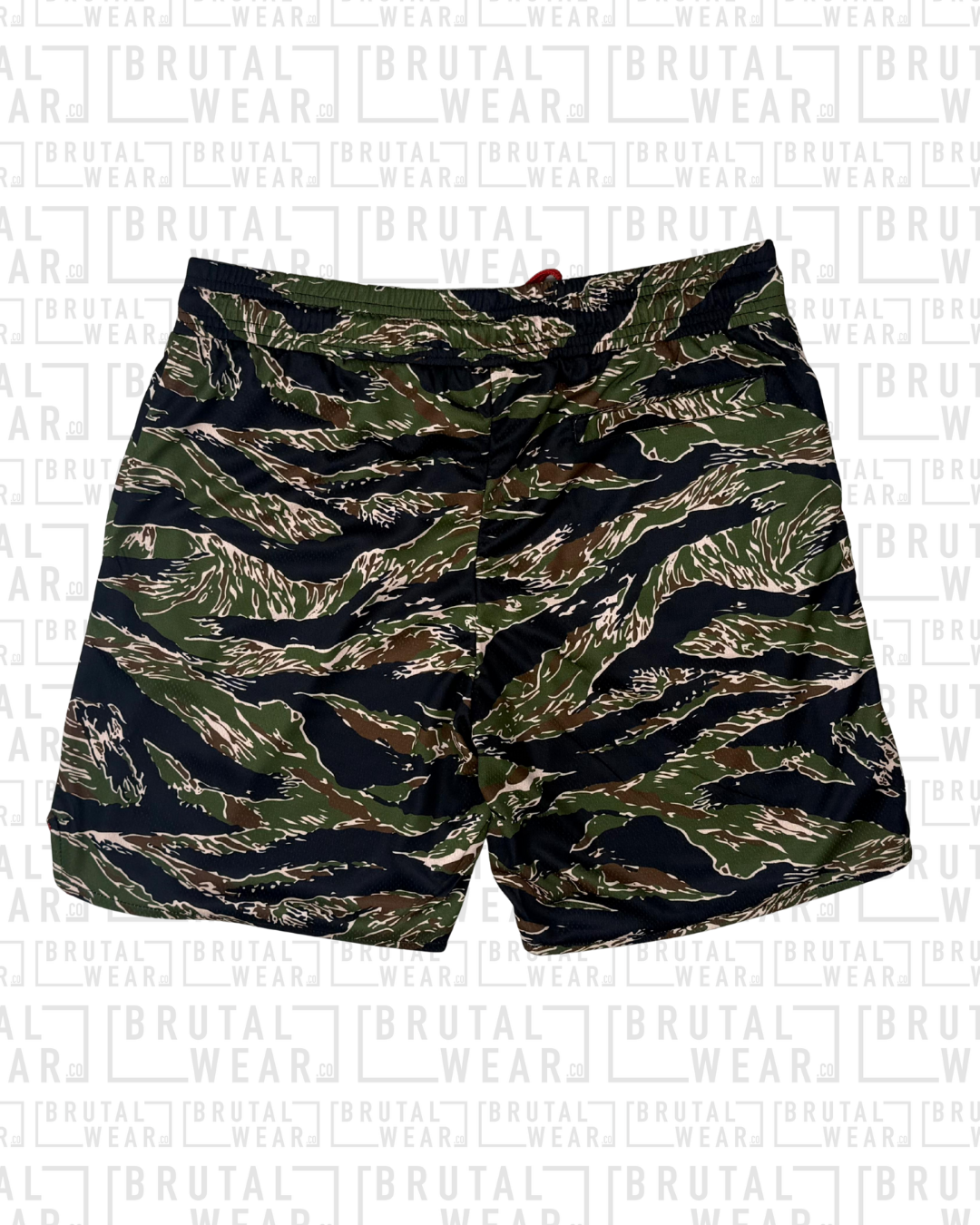 Shorts - Tiger Stripe